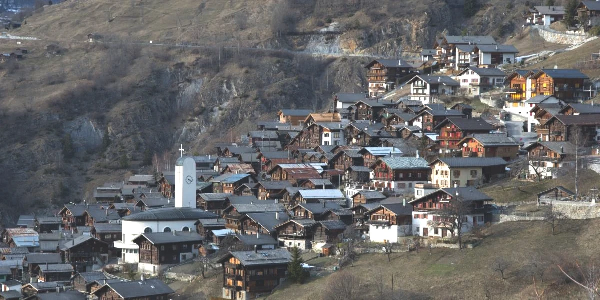 albinen-koyu-2.jpg